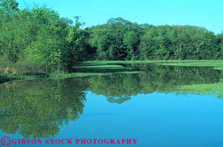 Stock Photo #7097: keywords -  beautiful beauty berlin calm environment forest freshwater horz lake landscape nature ohio peaceful pond pretty pristine pure quiet reflection remote runoff scenery scenic solitude still summer tree trees water wet wild wilderness