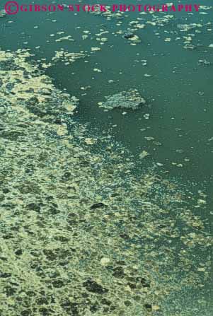 Stock Photo #7099: keywords - bay contaminate contaminated contaminates cove creek disease diseased foul fouled freshwater lake march pollute polluted pollutes polluting pollution pond river sickening smell smelly stream sump unhealthy vert water