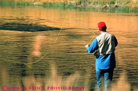 Stock Photo #3549: keywords -  adventure alone catch fishing horz madison man national outdoor park private quiet relax released river solitude sport sports summer wyoming yellowstone