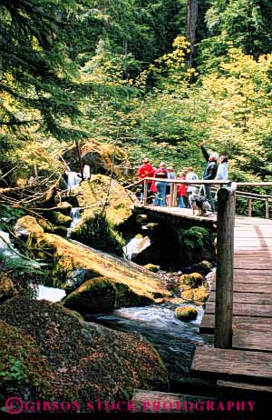 Stock Photo #5587: keywords -  bridge children exercise explore falls family fit fitness foot forest forests green group groups hike hikers hiking kids lush move oregon outdoor outdoors outside physical physically recreation released trail vert walk walker walking watson wood woods workout