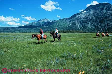 Stock Photo #5601: keywords -  alberta animal glacier grass green group horse horseback horses horz large mammal meadow mountains national outdoor outdoors outside park people recreation ride rider riding sport tour trained waterton west western wilderness