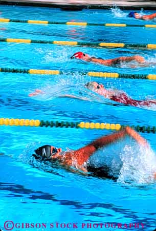 Stock Photo #5812: keywords -  action backstroke blur challenge compete competing competition competitor contest dynamic effort exertion girls lane motion move movement moving outdoor outdoors outside pool race recreation side speewd sport summer swim swimmer swimmers swimming vert water wet winner