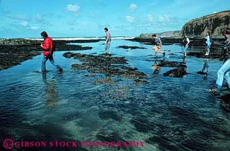 Stock Photo #5880: keywords -  california coast coastal explore group habitat hike horz intertidal marine ocean people pillar point sea seashore surf tidepool tidepooling walk wave wet zone