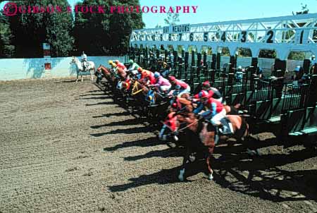Stock Photo #5972: keywords - action animal array bet compete competing competition competitor contest course fast gallop galloping gate horse horses horz jockey lunge mammal many motion race racers racing recreation run runner running speed sport sports start stride track wager