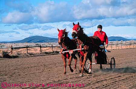 Stock Photo #5973: keywords - animal bet chariot compete competing competition competitor contest course fast gallop galloping horse horses horz jockey mammal man race racers racing recreation run runner running speed sport sports stride track two wager