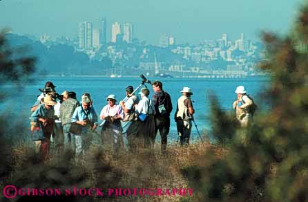 Stock Photo #5976: keywords -  bay bird birding birds ca california count counting francisco group horz identify identifying look nature outdoor outdoors outside san see spot spotting summer tracking vision watching wildlife