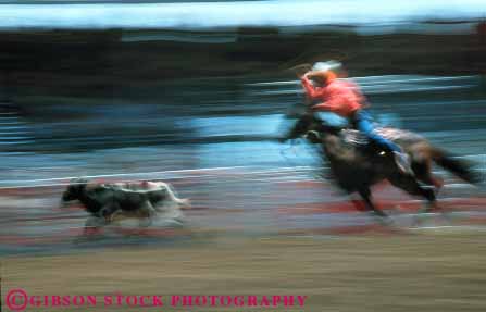 Stock Photo #5987: keywords -  action animal arena blur bronco buster challenge challenging compete competing competition competitor contest cowboy cowboys dynamic endurance endure enduring hang horse horseback horses horz injury mammal man motion move movement moving recreation ride risk rodeo roping rough sport sports steer west western