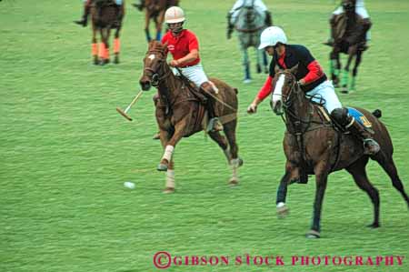 Stock Photo #5990: keywords -  ball ca california compete competing competition competitor contest coordinate coordination field gallop game grass horse horses horz lawn park polo rider riders riding rogers speed state team wil