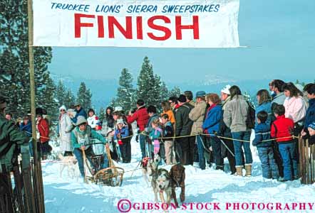 Stock Photo #6249: keywords -  animal ca california canine cold compete competing competition competitor contest coordinate coordinated coordination course dog dogs effort glide group horz mammal pull race racers races racing recreation run runners running runs sled sledder sledding slide snow sport sports strength team tow truckee winter