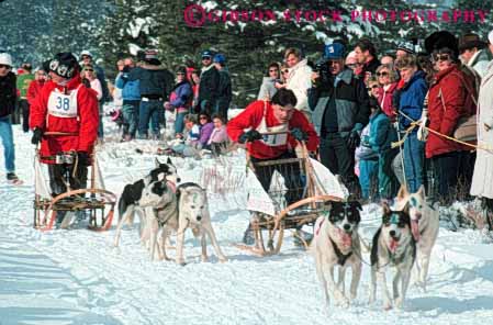 Stock Photo #6251: keywords - animal ca california canine cold compete competing competition competitor coordinate coordinated coordination course dog dogs effort glide group horz mammal mcontest pull race racers races racing recreation run runners running runs sled sledder sledding slide snow sport sports strength team tow truckee winter