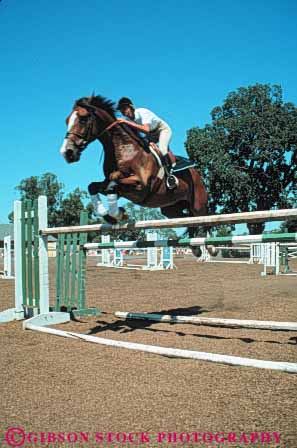 Stock Photo #6283: keywords -  activity animal balance challenge control effort equestrian fun hobby horse horseback jump leap mammal outdoor outdoors outside over perform performance performing play practice recreation ride rider riders riding show skill sport sports summer trained vert woman