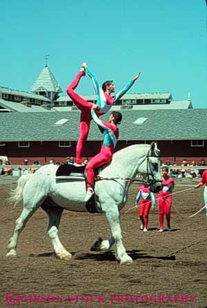 Stock Photo #6287: keywords - activity adolescence adolescent adolescents animal balance ca california caution child children coordinate coordinated coordination display equestrian fall female friend friends fun girl girls hobby horse horseback injury mammal outdoor outdoors outside pair perform performance performing play practice recreation ride rider riders riding risk share show skill sport sports stanford summer together trained vert