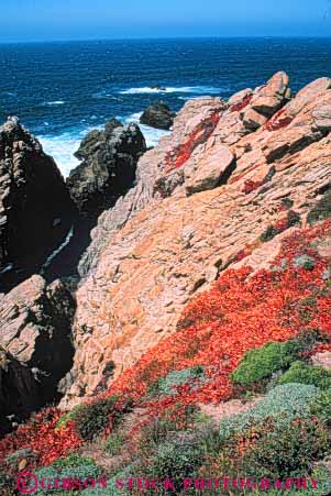 Stock Photo #10841: keywords - (near ) california carmel cliff cliffs coast coastal granite habitat landscape lobos monterey near ocean parks point preserve public reserve scenery scenic sea seascape seashore shore shoreline state vert