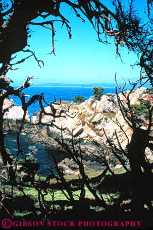 Stock Photo #10842: keywords -  (near ) california carmel coast coastal cypress habitat landscape lobos monterey near ocean parks point preserve public reserve scenery scenic sea seascape seashore shore shoreline state through vert view