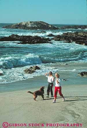 Stock Photo #10856: keywords - (near ) attraction beach california carmel coast coastal dog dogs drive friend friends fun mile monterey near ocean outdoor outside pair play playing relax relaxing resort resorts sand sandy sea seashore seventeen shore shoreline stroll stroller strollers strolling summer surf together tourist traveler two vert walk walker walkers walking water wave waves with woman women