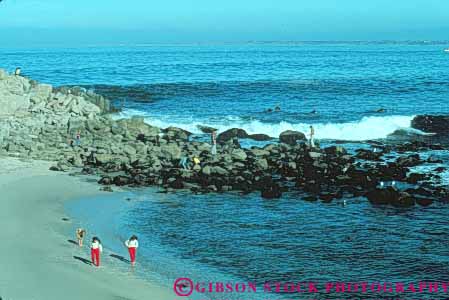 Stock Photo #10861: keywords -  (near ) beach beaches california coast coastal grove horz monterey near ocean pacific people sea seashore shore shoreline surf