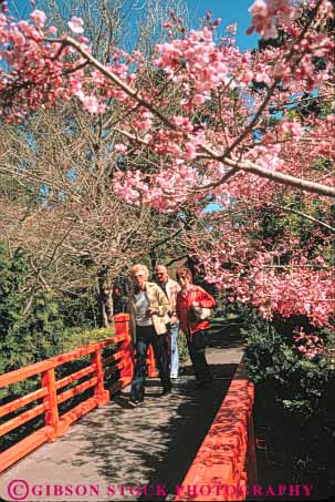 Stock Photo #10481: keywords -  architecture california city couple design francisco garden gardens gate golden in japanese municipal pagoda park parks people red san style tea vert