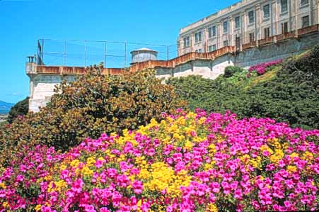 Stock Photo #10580: keywords - alcatraz american area attraction attractions california colorful francisco gate golden historic history horz island islands isolate isolated jail jails national penitentiaries penitentiary prison prisons recreation san tourist wildflowers