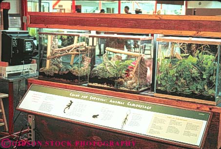 Stock Photo #10722: keywords - artificial california child children demonstrate demonstrates demonstrating demonstration educate educating education enclose enclosed experiment experimenting experiments exploratorium francisco hands horz interact interacting interaction interactive interacts learn learning light museum museums participants participate participating participation physics plant plants san science scientific terrarium terrariums