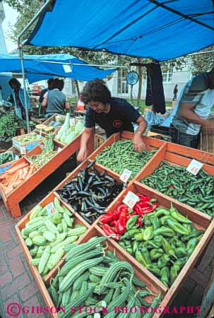Stock Photo #10740: keywords -  agriculture business california crop crops display farmer farmers food francisco fresh grown harvest harvested market produce retail sale sales san sell seller sellers selling sidewalk small vegetable vegetables vendor vendors vert
