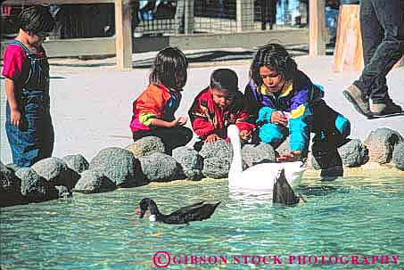 Stock Photo #10748: keywords - animals boy california captive captivity child children display ethnic francisco girl hispanic horz minority park parks petting pond san zoo zoos
