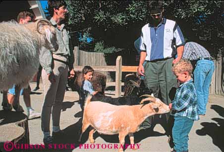 Stock Photo #10749: keywords -  animals boy boys california captive captivity child children display francisco goat goats horz in park parks petting san with zoo zoos