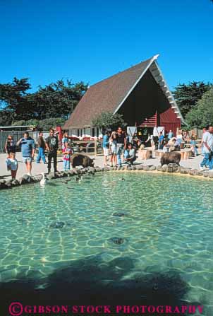 Stock Photo #10750: keywords - animals california captive captivity display francisco in park parks petting pond ponds san vert zoo zoos