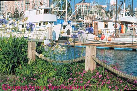 Stock Photo #9351: keywords -  bay boat boats california diego fishing harbor harbors horz in marina marinas san ship ships waterfront