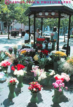 Stock Photo #9404: keywords -  business california center city diego display downtown flower flowers merchandise retail sales san sell seller selling small stand urban vendor vendors vert