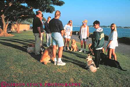 Stock Photo #9471: keywords - animal animals california canine cities city class classes diego dog dogs group horz in learn learning learns mammal mammals obedience park pet pets practice san teach teaching together train training