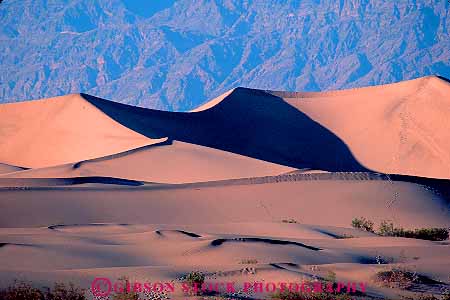 Stock Photo #12274: keywords - arid california climate climatology death deposit deposited deposition desert deserts dry dunes eroded erosion grace graceful habitat horz hot national nature park parks sand shadow shadows summer sunny valley valleys warm wind
