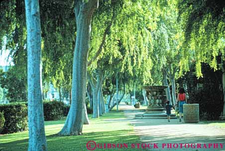 Stock Photo #8374: keywords -  angeles beverly california covered exclusive hills horz leaves los scale shade sidewalk tree up