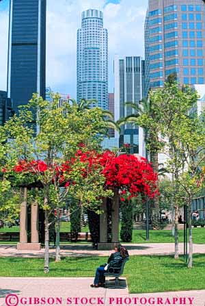 Stock Photo #8396: keywords - alone angeles california calm cities city cityscape cityscapes design downtown grand grass hope isolate isolated landscape landscaping lawn los modern open park person privacy private quiet reading relax relaxed skyline skylines solitary solitude space urban vert