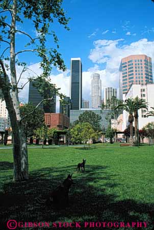 Stock Photo #8398: keywords -  angeles california cities city cityscape cityscapes design downtown grand grass hope landscape landscaping lawn los modern open park skyline skylines space urban vert