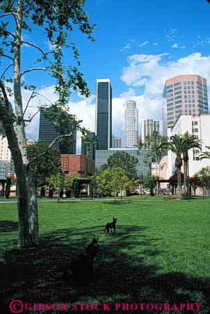 Stock Photo #8398: keywords -  angeles california cities city cityscape cityscapes design downtown grand grass hope landscape landscaping lawn los modern open park skyline skylines space urban vert