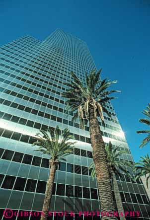 Stock Photo #8411: keywords -  and angeles building buildings california center city core downtown los office palm trees up upward urban vert view