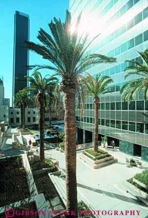 Stock Photo #8412: keywords -  and angeles building buildings california center city core downtown los office palm plaza trees urban vert