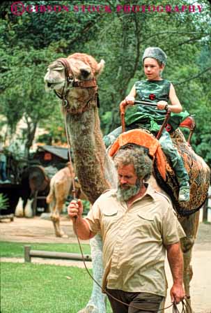 Stock Photo #8447: keywords -  angeles animal animals california child city giraffe giraffes girl griffith los mammal mammals park parks ride rider riders riding vert zoo