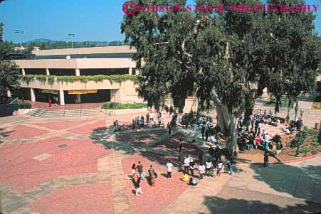 Stock Photo #8461: keywords -  angeles california campus campuses college colleges education higher horz learn learning los of plaza plazas school schools student students ucla union universities university