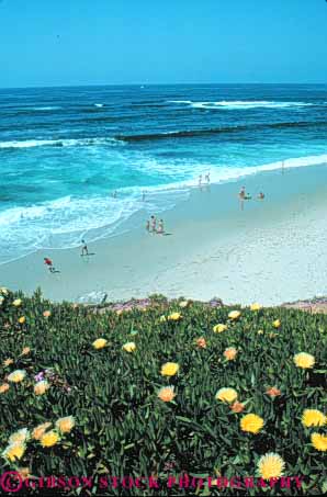 Stock Photo #9480: keywords - beach beaches california coast coastal destination diego in jolla la leisure ocean people play playing recreation resort resorts san sea seashore shore shoreline summer surf travel vacation vert