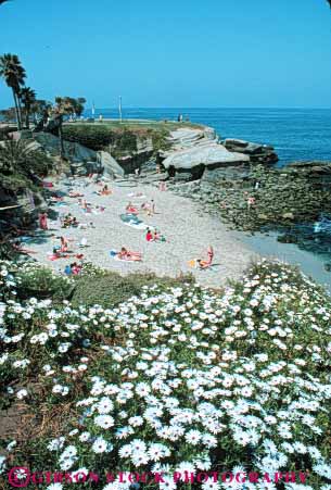 Stock Photo #9481: keywords -  beach beaches california coast coastal destination diego jolla la leisure ocean people play recreation resort resorts san sea seashore shore shoreline summer sunbathing travel vacation vert