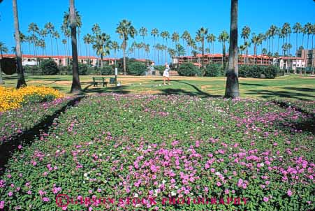 Stock Photo #9491: keywords -  and beach california club coast coastal destination diego flower flowers garden gardens golf golfer golfing horz jolla la resort resorts san seashore shore shoreline summer tennis travel woman