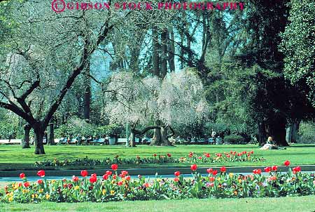Stock Photo #11378: keywords - california capitol chat chats chatting cities city friend friends garden horz in lawn municipal outdoor outside pair park parks peaceful privacy private public quiet relaxing sacramento serene sit sits sitting summer talk talking talks two woman women