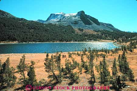 Stock Photo #9938: keywords - alpine california environment freshwater horz lake landscape meadows mountain mountains mt mtn mtns national nature park parks pristine scenery scenic sierra summer tioga toulumne water wild wilderness yosemite