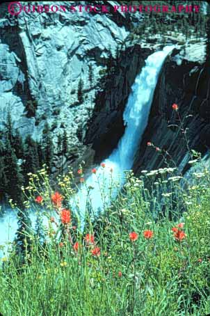 Stock Photo #9941: keywords - alpine california cliff cliffs cut down drop environment fall falling falls geologic geological geology glacial glacier glaciers granite gravity landscape mountain mountains mt mtn mtns national nature nevada paintbrush park parks scenery scenic scour sierra spray spraying summer valley valleys vert water wild wilderness wildflower wildflowers yosemite