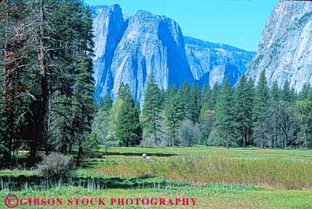 Stock Photo #9949: keywords - alpine california cliff cliffs cut environment forest forests geologic geological geology glacial glacier glaciers granite horz in landscape meadow meadows mountain mountains mt mtn mtns national nature park parks people scenery scenic scour sierra summer tree trees valley valleys walk walker walkers walking wild wilderness yosemite