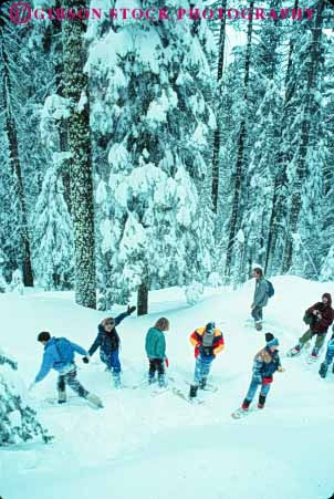 Stock Photo #9968: keywords -  alpine california environment forest forests hike hiker hikers hiking mountain mountains mt mtn mtns national nature park parks people recreation sierra snow snowshoe snowshoeing snowshoers sport tree trees vert wild wilderness winter yosemite