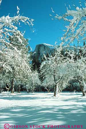 Stock Photo #9984: keywords -  alpine batholith california cliffs cold cut dome environment geologic geological geology glacial glacier granite half landmark landmarks landscape mountain mountains mt mtn mtns national nature park parks scenery scenic scour sierra snow vert wild wilderness winter yosemite