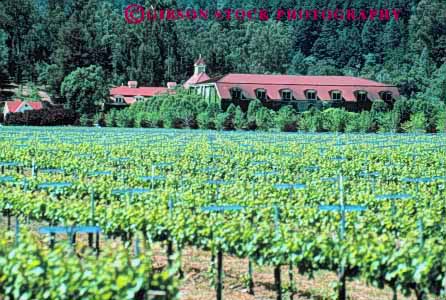 Stock Photo #10037: keywords -  agriculture architecture attraction building california coppola crop crops cultivate cultivating cultivation grow growing horz making napa neibaum plant tourist valley vine vines vineyard vineyards wineries winery wines