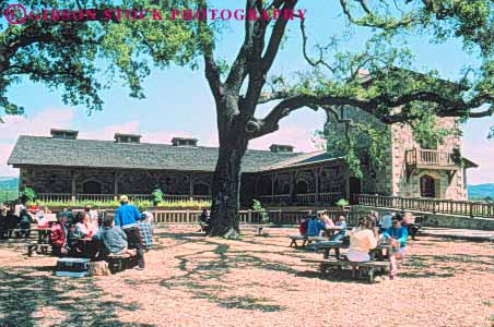 Stock Photo #10066: keywords -  california horz landscape landscaping napa oak people picnic picnicking sattui shade tree trees valley wine wineries winery wines